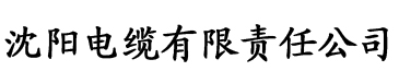 关于我和我的沙雕恶魔室友电缆厂logo